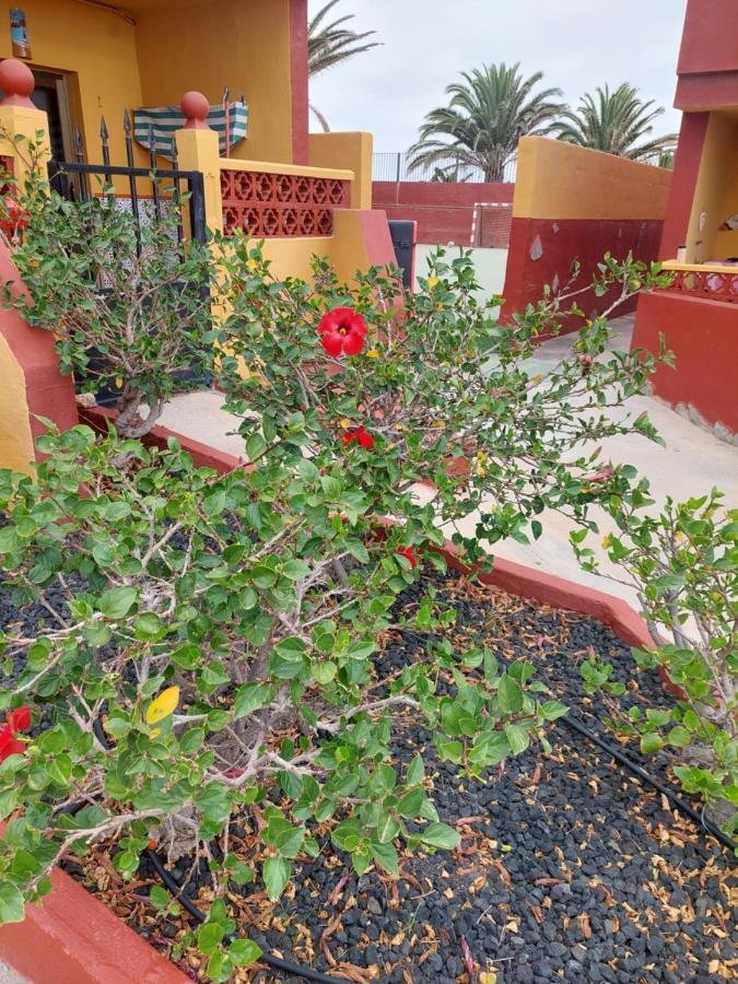 La Paloma Buena Esperanza Apartman Costa De Antigua Kültér fotó